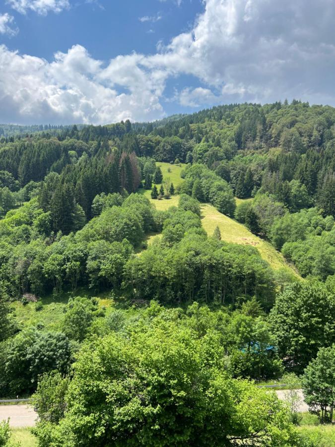 Bollenlodge - Ferienwohnung Mit Ausblick Und Top Lage Todtnau Exteriér fotografie