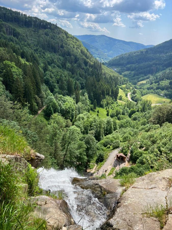 Bollenlodge - Ferienwohnung Mit Ausblick Und Top Lage Todtnau Exteriér fotografie