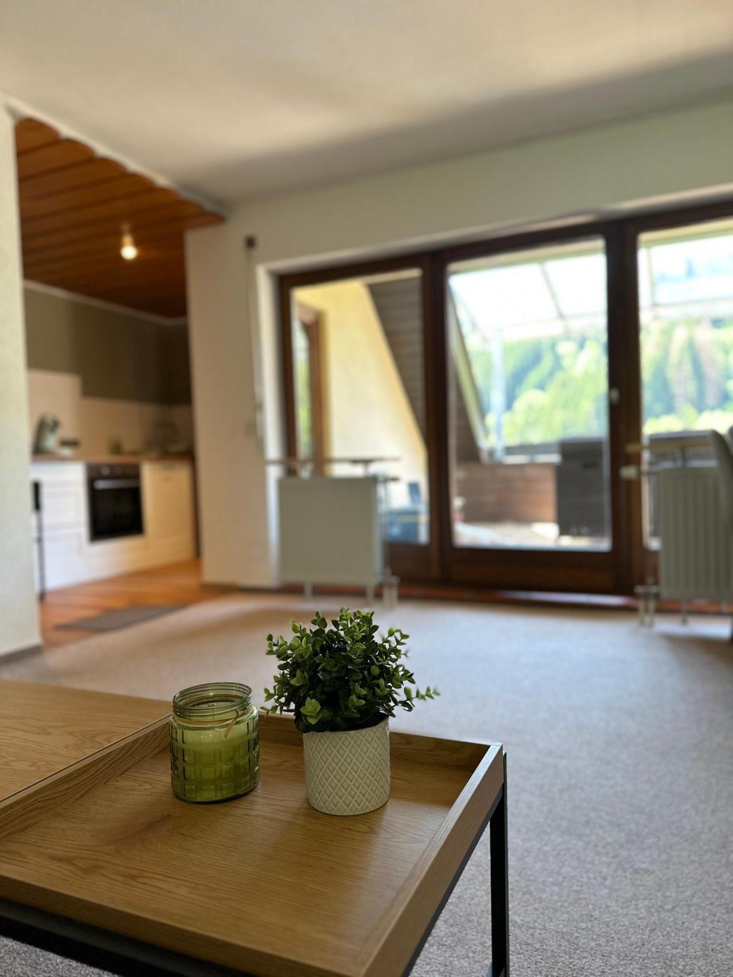 Bollenlodge - Ferienwohnung Mit Ausblick Und Top Lage Todtnau Exteriér fotografie